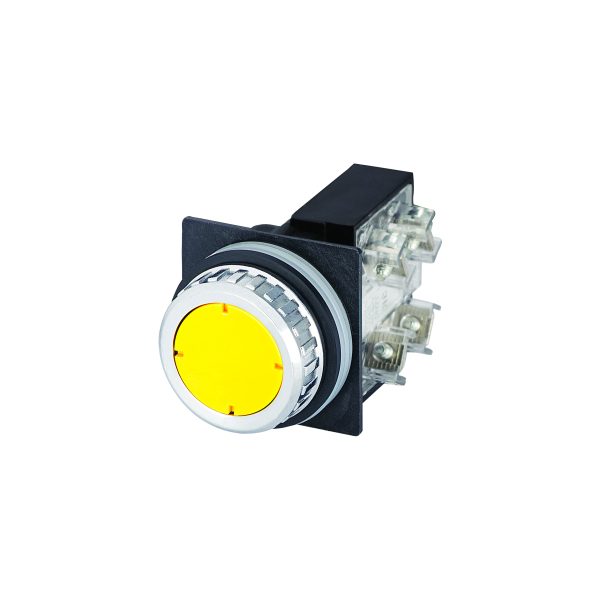 NE-030RIGF1